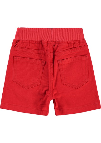 Erkek Bebek Şort 6-18 Ay Kırmızı fiyatları