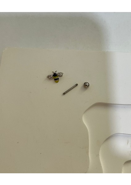Cerrahi Çelik Arı Tragus Helix Kıkırdak Kulak Memesi Uyumlu Piercing Küpe (1 Adet )