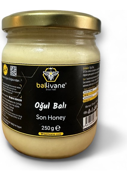 Artvin Yöresi Oğul Balı 250GR [ Yeni Ürün]