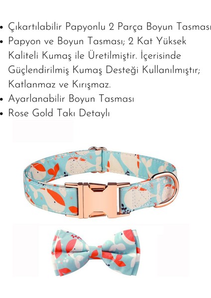 ‘’ Dream Bow Tie ‘’ Papyonlu Boyun Tasması fiyatları