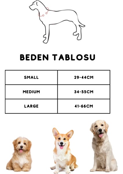 ‘’ Flower ‘’ 2 Parça Çiçek Tasarımlı Köpek Tasması ve Kayışı - Gezdirme Seti