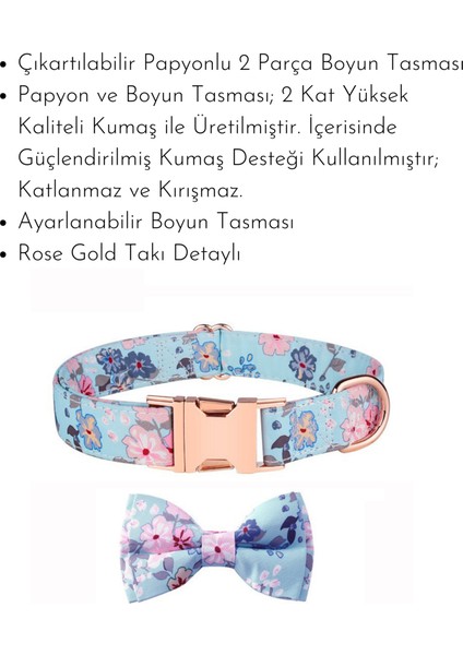‘’ Dream Bow Tie ‘’ Papyonlu Boyun Tasması fiyatları