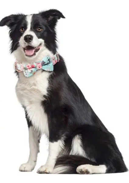 ‘’ Dream Bow Tie ‘’ Papyonlu Boyun Tasması fırsatları