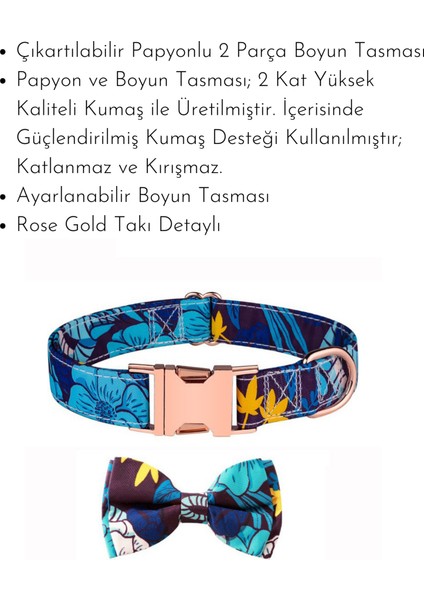 ‘’ Dream Bow Tie ‘’ Papyonlu Boyun Tasması fiyatları