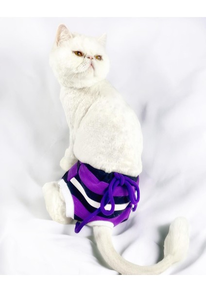 Modern Purp Kemique's Secret Kedi Iç Çamaşırı Regl Külot Don