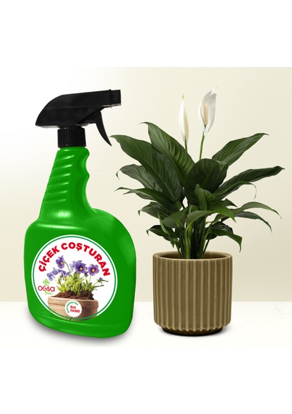 1000 ml Iz Elementli Çiçek Coşturan Sprey Gübre