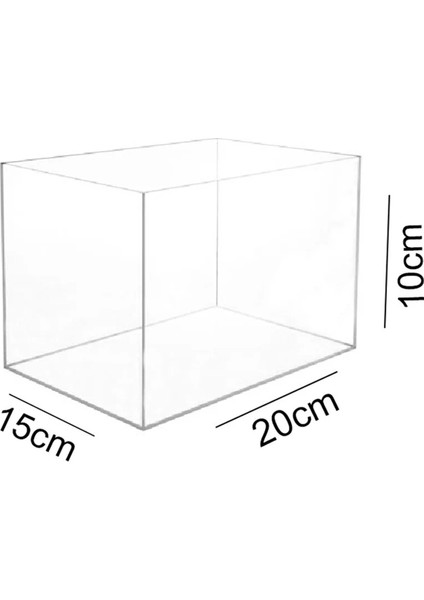 Trend Pleksi Şeffaf Kapaklı Çok Amaçlı Saklama Kutusu (20CM x 15CM x 10CM)