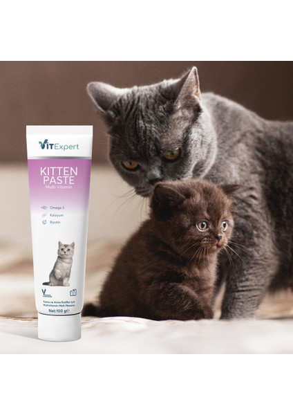 Kitten Paste Yavru Kediler Için Multi Vitamin Kas Gelişimi Destekleyici Malt Macun 100 gr