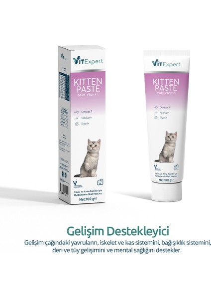 Kitten Paste Yavru Kediler Için Multi Vitamin Kas Gelişimi Destekleyici Malt Macun 100 gr