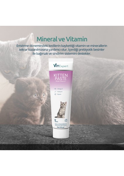 Kitten Paste Yavru Kediler Için Multi Vitamin Kas Gelişimi Destekleyici Malt Macun 100 gr