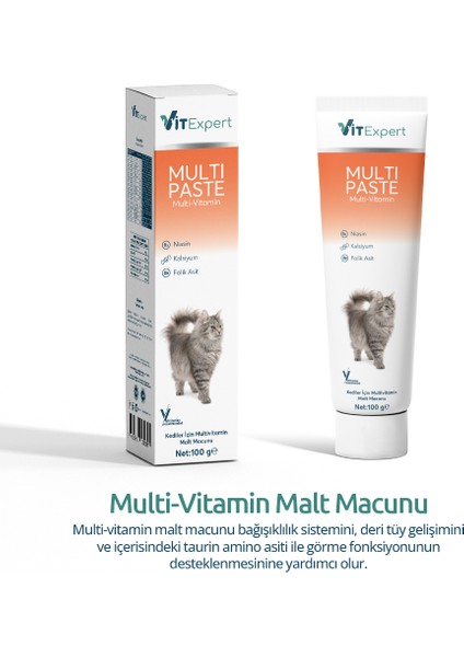 Multi Paste Tüm Kediler Için Multi Vitamin Tüy Sağlığı Destekleyici Malt Macun 100 gr