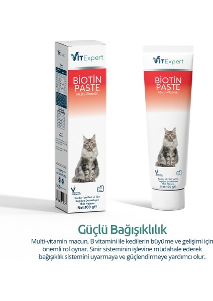 Biotin Paste Tüm Kediler Için Tüy Sağlığı Destekleyici ve Tüy Dökülmesi Önleyici Malt Macun 100 gr