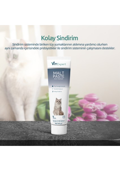 Anti Hairball Malt Paste Tüm Kediler Için Tüy Yumağı Önleyici Sindirime Yardımcı Malt Macun 100 gr