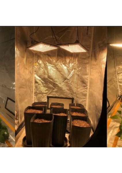 Samsung 283B Bitki Yetiştirme Lambası Full Spectrum Grow Lamp Bitki Yetiştirme Ledi