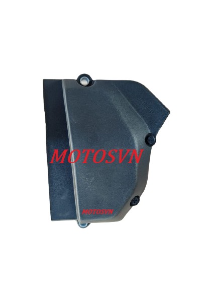 Raider 125 Ön Dişli Kapağı Orjınal