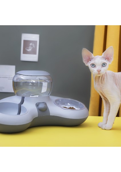 Evcil Hayvan Hazneli Kedi Köpek Mama ve Su Kabı Seti 1.4 lt Su