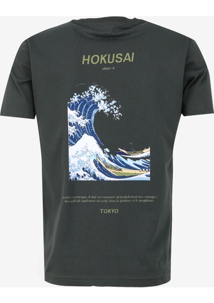 Bisiklet Yaka Baskılı Haki Erkek T-Shirt Kmtr S215 Peınture_gallery Regular fiyatları