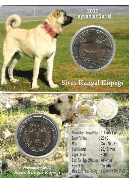 3ALP Koleksiyon, Sivas Kangal 1 Lira 2010, Darphane Hatıra Bimetal Para, Hayvanlar Serisi,renkli Kapamasında, Çil