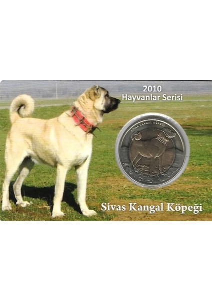 3ALP Koleksiyon, Sivas Kangal 1 Lira 2010, Darphane Hatıra Bimetal Para, Hayvanlar Serisi,renkli Kapamasında, Çil