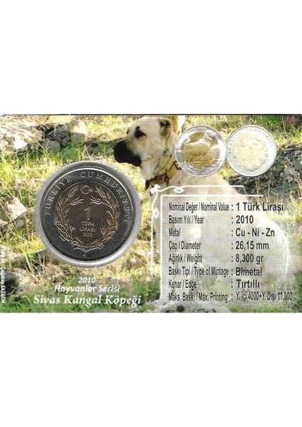 3ALP Koleksiyon, Sivas Kangal 1 Lira 2010, Darphane Hatıra Bimetal Para, Hayvanlar Serisi,renkli Kapamasında, Çil