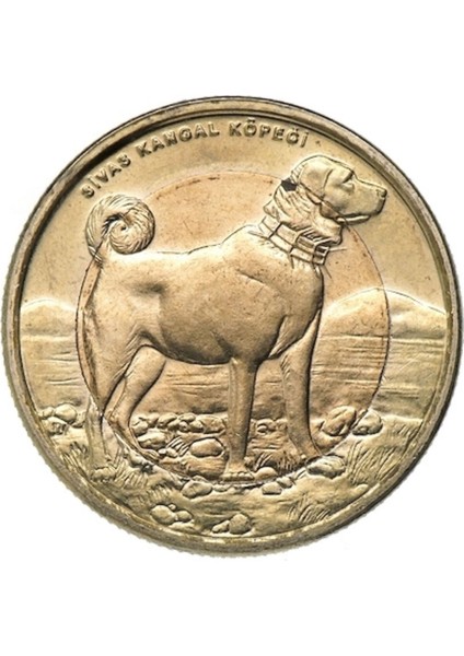 3ALP Koleksiyon, Sivas Kangal 1 Lira 2010, Darphane Hatıra Bimetal Para, Hayvanlar Serisi,renkli Kapamasında, Çil