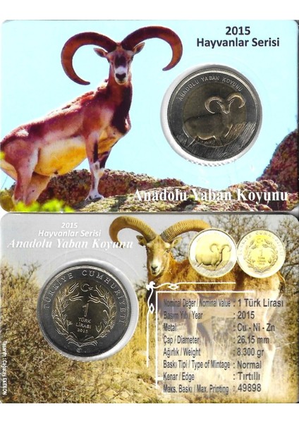 3ALP Koleksiyon, Anadolu Yaban Koyunu 1 Lira 2015, Darphane Hatıra Bimetal Para, Hayvanlar Serisi, Renkli Kapamasında