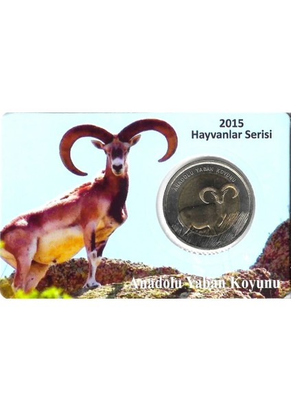 3ALP Koleksiyon, Anadolu Yaban Koyunu 1 Lira 2015, Darphane Hatıra Bimetal Para, Hayvanlar Serisi, Renkli Kapamasında fiyatları