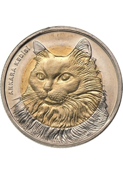3ALP Koleksiyon, Ankara Kedisi 1 Lira 2010, Darphane Hatıra Bimetal Para, Hayvanlar Serisi, Renkli Kapamasında, Çil fırsatları