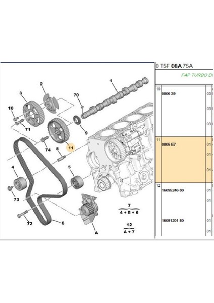 Eksantrik Dişlisi Partner Berlingo DW10 (0805E7)