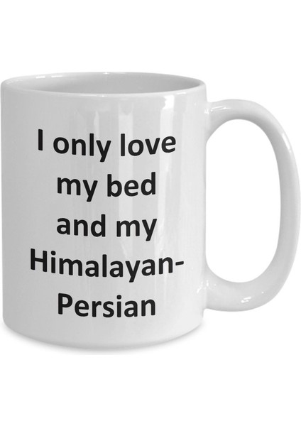 Komik Himalaya-Fars Kupa - Love My Bed ve Himalaya-Fars Kedi Kahvesi - Ingilizce Kahve Kupa
