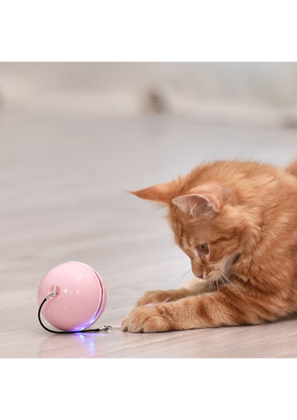 Kedi Oyuncak Renkli LED Kendiliğinden Dönen Top Kedi Nipiyle Çan ve Tüy Oyuncaklar USB Şarj Edilebilir Kedi Yavrusu Top Oyuncak-Gri (Yurt Dışından)