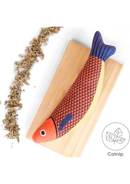 3pcs Kediler Çiğneme Oyuncakları, Isırmaya Dayanıklı Kediler Oyuncakları Zil Içinde, Peluş Karikatür Yavru Kedi Diş Çıkarma Interaktif Oyuncak Kedilerle Uyumlu (Yurt Dışından) fırsatları