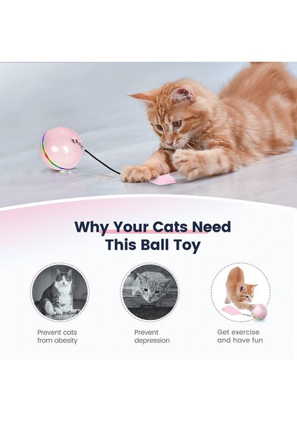 Kedi Topu Interaktif Kedi Oyuncakları Kapalı Kediler ile Uyumlu Çan Tüylü Yavru Kedi Oyuncakları, Açık Pembe ile Dönen Kedi Oyuncak Topları (Yurt Dışından) fiyatları