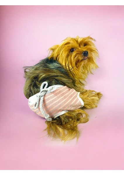 Pink Shine Kemique's Secret Köpek Iç Çamaşırı Regl Külot Don indirimleri