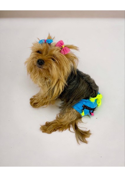 Blue Tufty Kemique's Secret Köpek Iç Çamaşırı Regl Külot Don