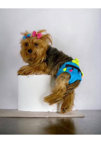 Blue Tufty Kemique's Secret Köpek Iç Çamaşırı Regl Külot Don modelleri
