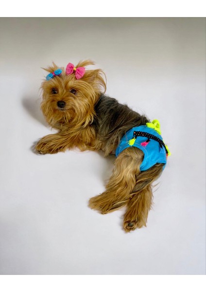 Blue Tufty Kemique's Secret Köpek Iç Çamaşırı Regl Külot Don indirimleri