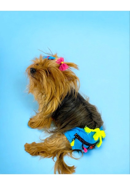 Blue Tufty Kemique's Secret Köpek Iç Çamaşırı Regl Külot Don