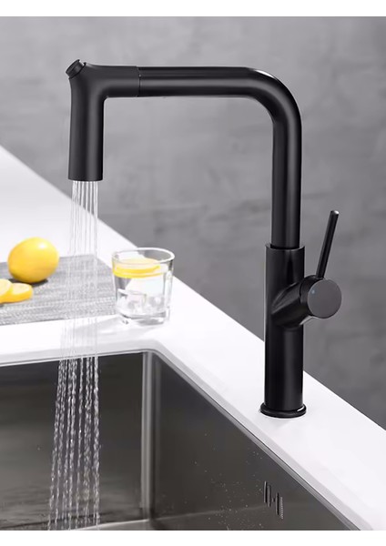 Siyah Spiralli Mutfak Bataryası Eviye Bataryası - BTR60B fiyatları