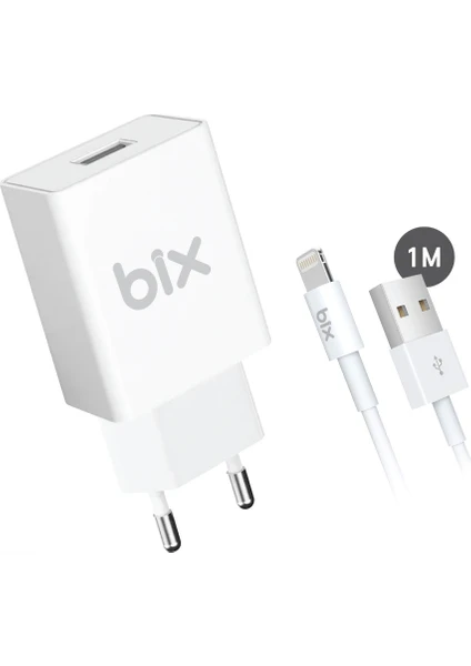 BX-L10TA iPhone Uyumlu 10W Seyahat Şarj Cihazı Lightning Kablo iPhone / iPad Şarj Cihazı