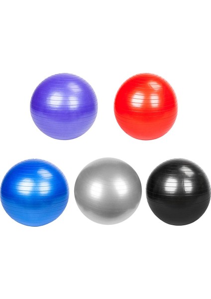 Mor 65CM Tarzı cm Spor Yoga Topları Bola Pilates Fitness Salonu Denge Fitball Egzersiz Egzersiz Masaj Topu Pompalı Yoga Malzemeleri (Yurt Dışından) fiyatları