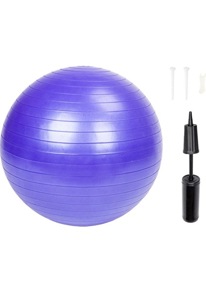 Mor 65CM Tarzı cm Spor Yoga Topları Bola Pilates Fitness Salonu Denge Fitball Egzersiz Egzersiz Masaj Topu Pompalı Yoga Malzemeleri (Yurt Dışından) modelleri