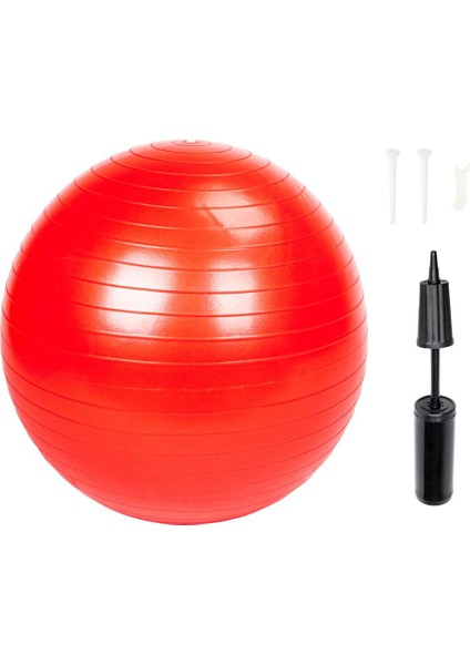 Mor 65CM Tarzı cm Spor Yoga Topları Bola Pilates Fitness Salonu Denge Fitball Egzersiz Egzersiz Masaj Topu Pompalı Yoga Malzemeleri (Yurt Dışından) fırsatları