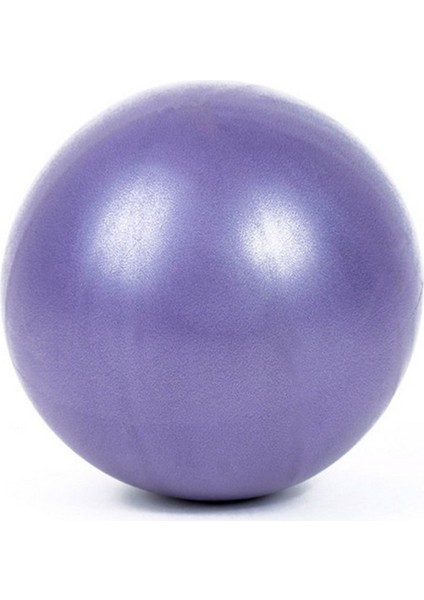 Mor Tarzı 25CM Yoga Egzersiz Topu Jimnastik Fitness Pilates Topu Denge Spor Salonu Yoga Çekirdek Topu Kapalı Eğitim Yoga Topu 3 Renk (Yurt Dışından)