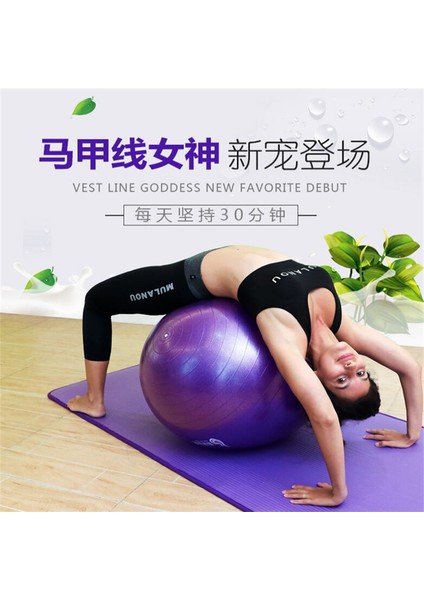 Mavi Stil Spor Yoga Topları Pilates Fitness Topu Spor Salonu Denge Egzersizi Pilates Egzersizi Evde Eğitim Masaj Topu 45CM (Yurt Dışından) fırsatları