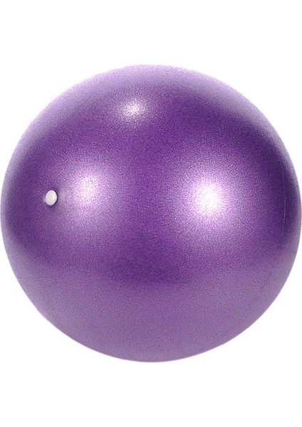 Mor Tarzı 25CM Spor Yoga Topları Bola Pilates Fitness Salonu Denge Fitball Egzersiz Pilates Egzersiz Masaj Topu (Yurt Dışından) indirimleri