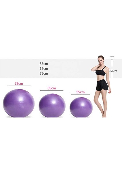Mor 75CM Tarzı Spor Yoga Topları Pilates Fitness Salonu Denge Fitball Egzersiz Pilates Egzersiz Masaj Topu 65CM 75CM (Yurt Dışından) fırsatları