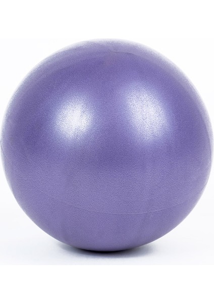 Gri Stil 25CM Yoga Topu Egzersiz Fitness Pilates Denge Topu Egzersiz Salonu Kapalı Eğitim Topu (Yurt Dışından) fırsatları