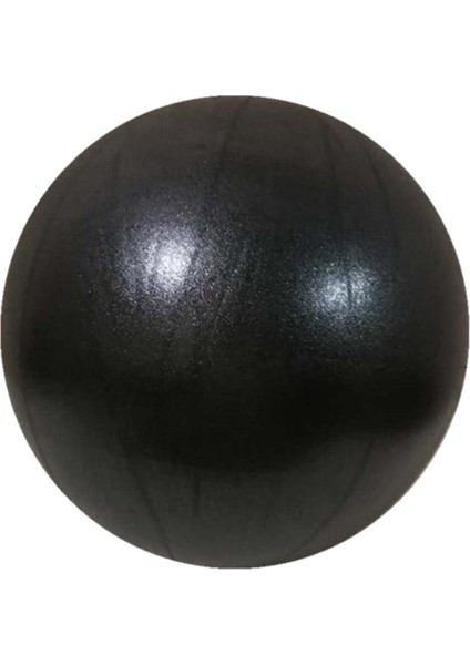 Siyah Stil 25CM Yoga Topu Egzersiz Jimnastik Pilates Denge Topu Gym Fitness Kapalı Antrenman Çekirdek Topu (Yurt Dışından)