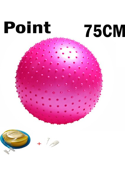 Sadece Plastik Pompa Stili Yoga Topları Pilates Fitness Salonu Denge Fitball Egzersiz Egzersiz Topu cm Pompalı (Yurt Dışından) indirimleri